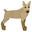 Image of philosopher_dog