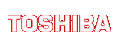 Toshiba Laptops.