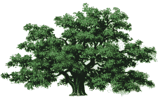 Enter Twin Oaks Gardeners
